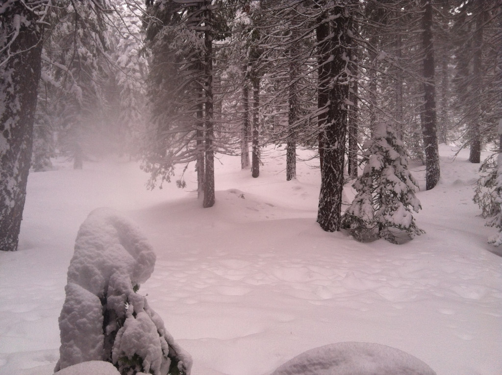 lake tahoe, winter, snow, snowfall, snowflakes, photography, nature