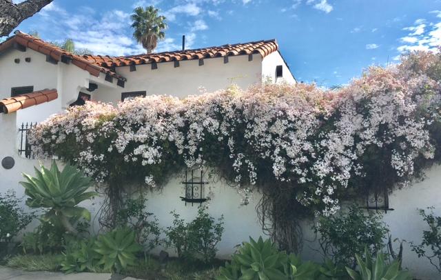 floral, flowers, residential, jasmine, spanish style, home, real estate, hygge